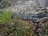 image of grave number 938196